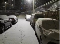 青島！大雪！大愛！